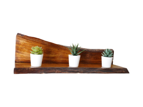 Live Edge Shelf