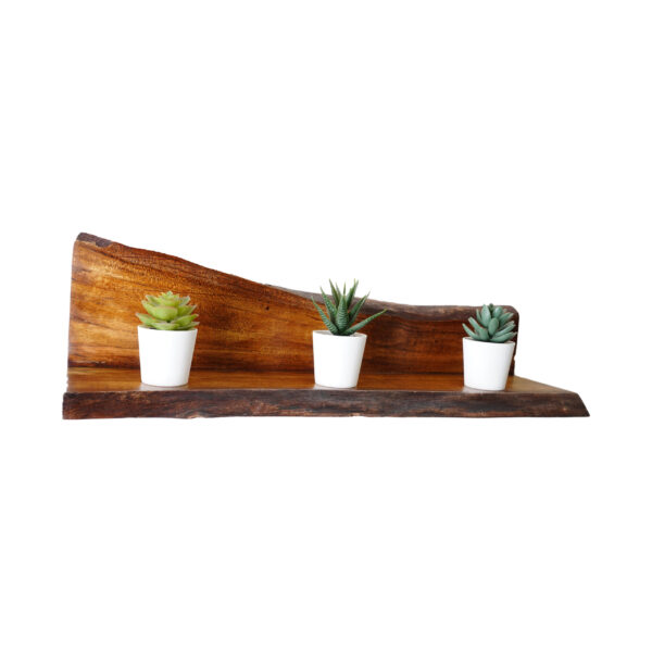Live-Edge Mahogany Wall Shelf