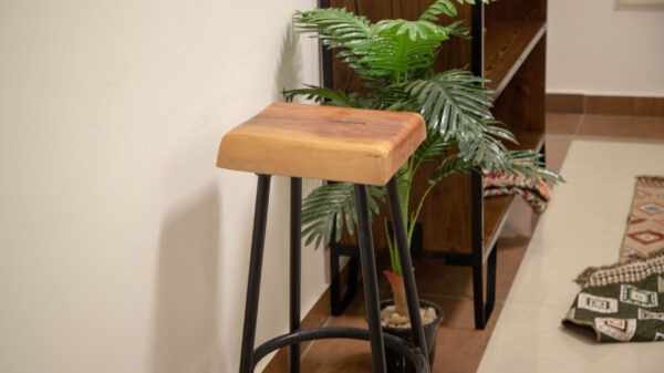 MG_7523-scaled-1.jpg Live-Edge Mahogany Highchair