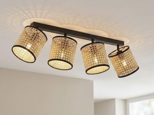 image00050 Cane Shade Ceiling Light