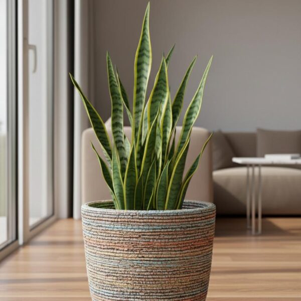 Ceramic pot