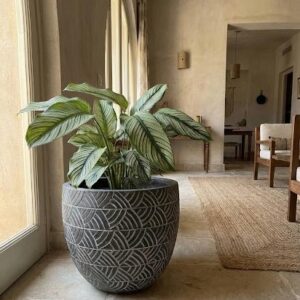 Patterned Ceramic Planter