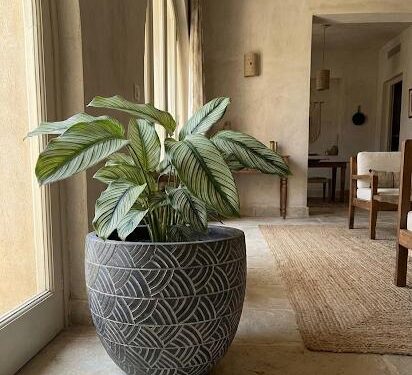 Patterned Ceramic Planter
