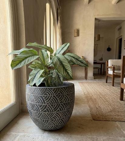 Patterned Ceramic Planter