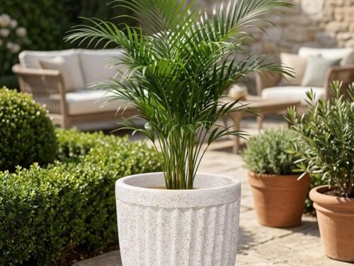 WhatsApp Image 2026-02-01 at 10.42.33 AM (1) Fluted Ceramic Garden Pot