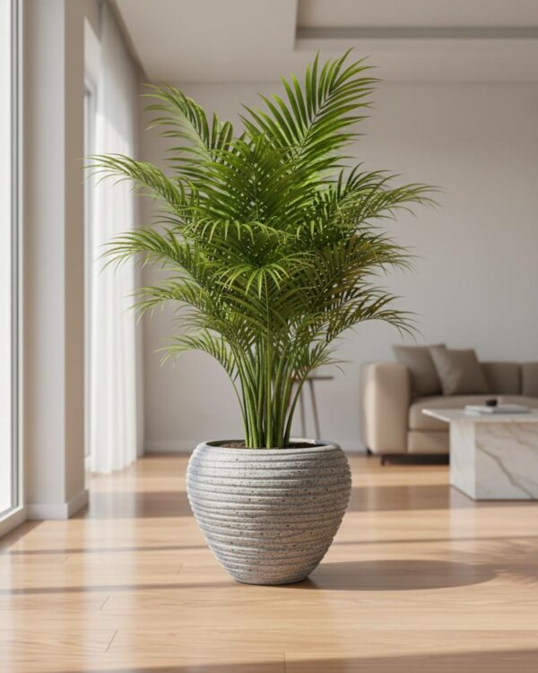 Textured Ceramic Planter