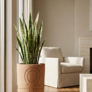 Symbolic Ceramic Planter