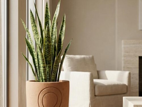 Symbolic Ceramic Planter