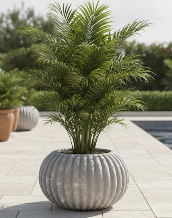WhatsApp Image 2026-02-01 at 10.42.34 AM Ribbed Ceramic Outdoor Pot